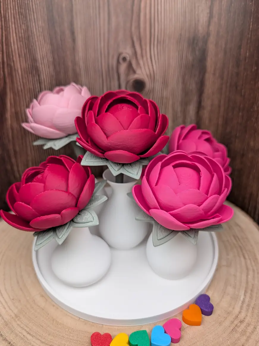 Pinke Blüten in weißen Vasen