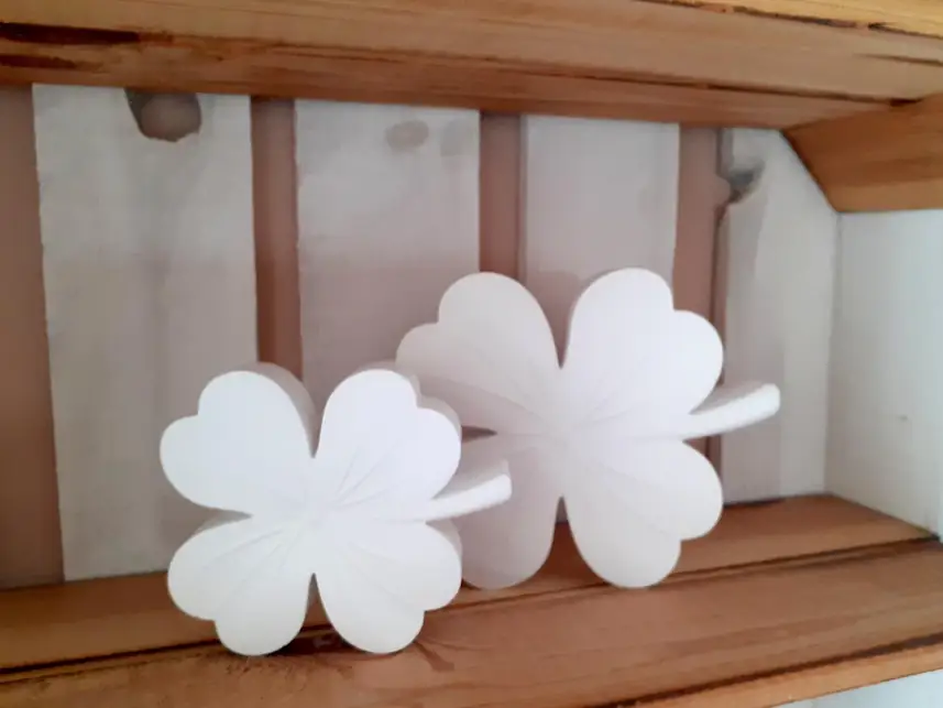 Zwei weiße Kleeblätter in einem Holzregal